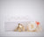 Simply Elegant Gift Box